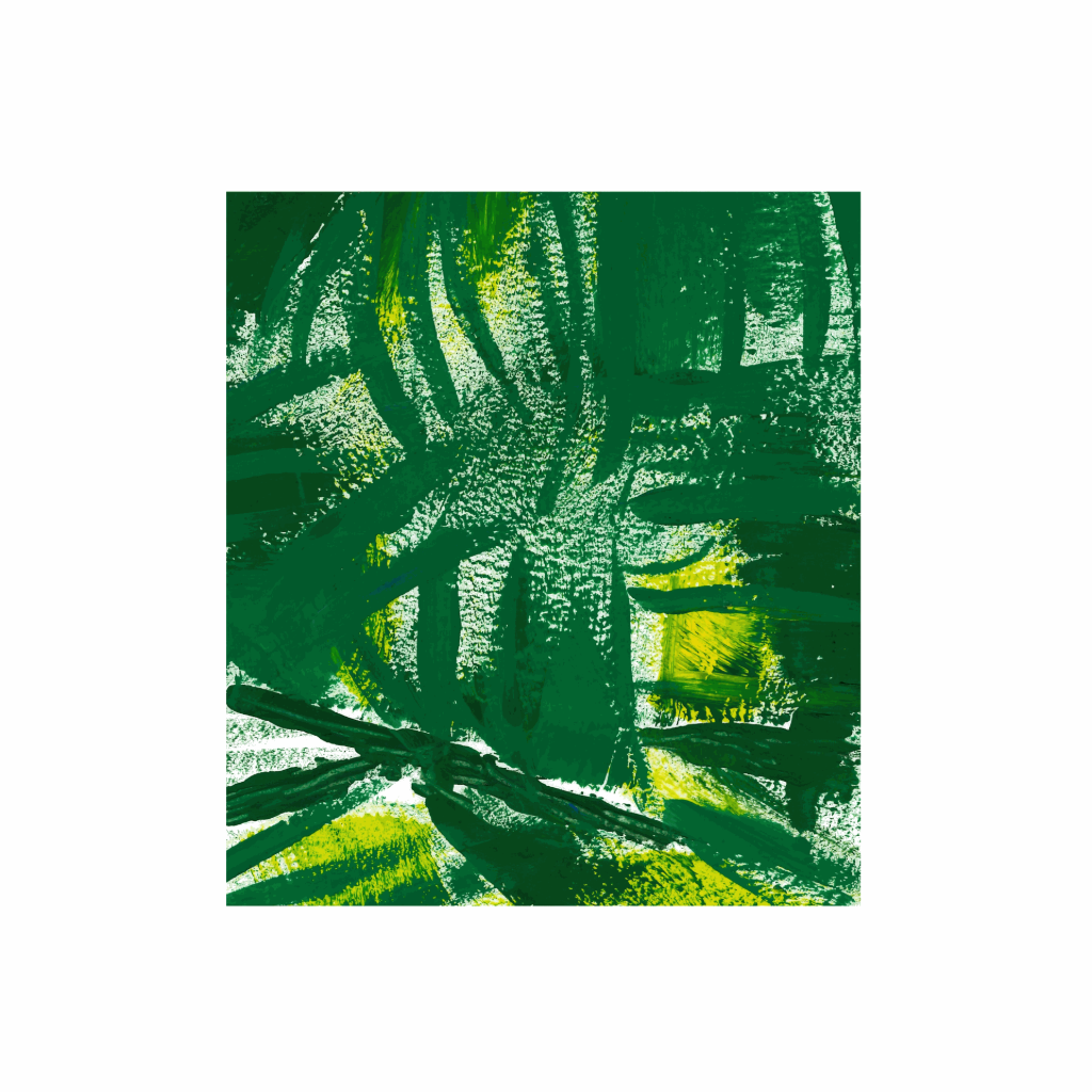 dessin peinture végétation nature feuilles