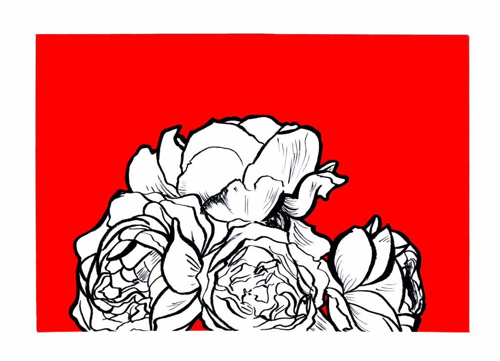 illustration dessin peinture encre fleurs pivoines noir et blanc rouge aplat monochrome contraste